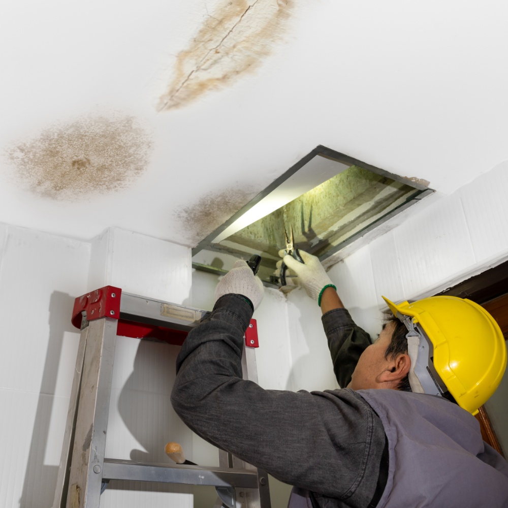 Ceiling Water Damage Repair and Restoration